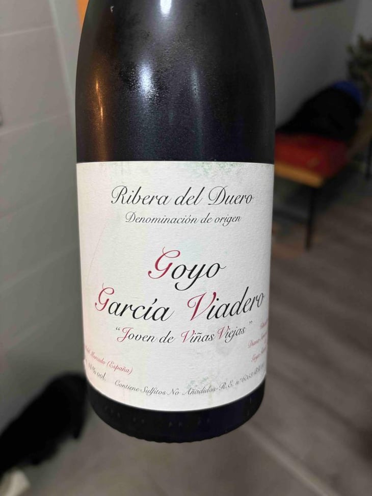 Joven de Viñas Viejas - Goyo Garcia Viadero - Goyo Garcia Viadero 