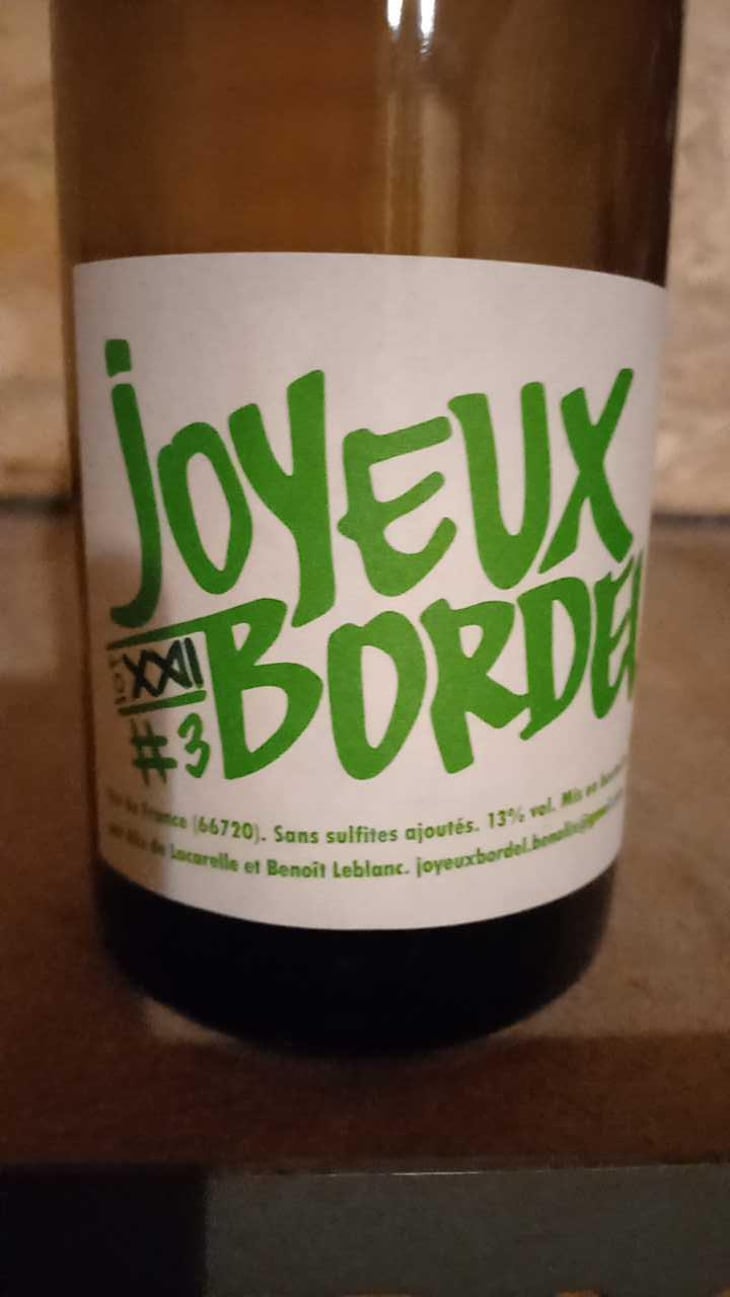 Joyeux Bordel #3 - Joyeux Bordel - Benoit Leblanc 
