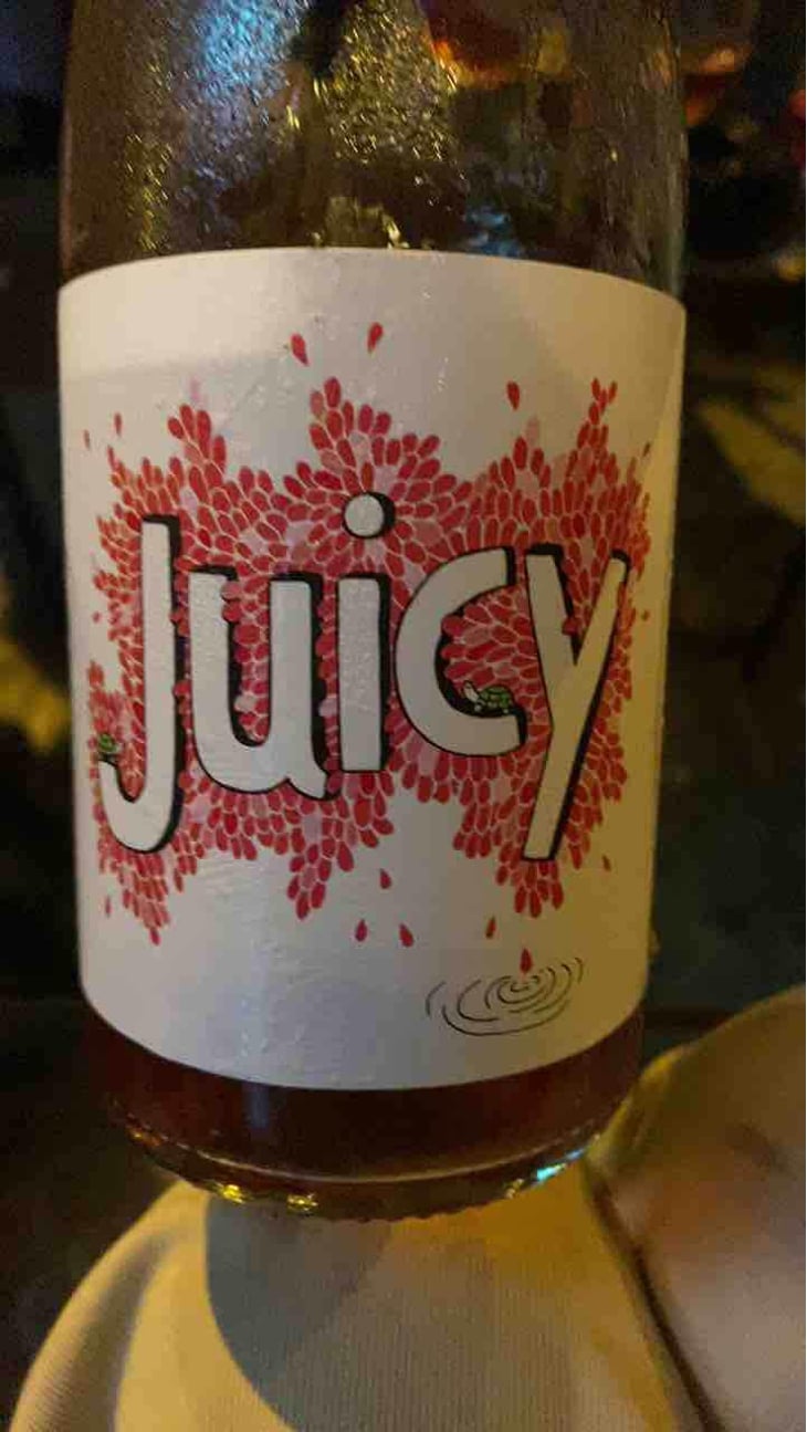 JUICY - Vinyes Tortuga - Dido & Jurriaan 