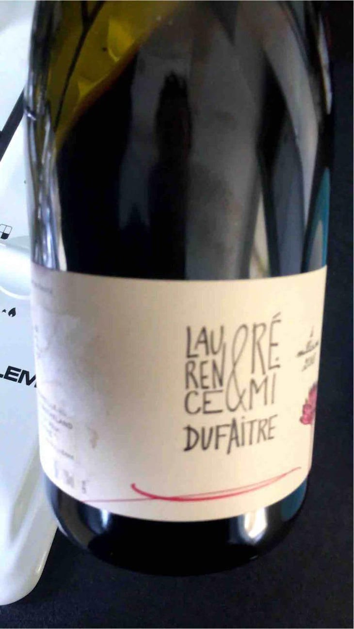 Julienas - Domaine de Botheland - Rémi Dufaitre & Laurence Liatard 