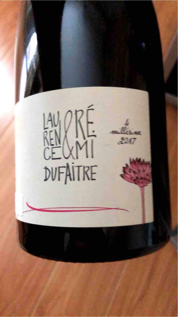 Julienas - Domaine de Botheland - Rémi Dufaitre & Laurence Liatard 