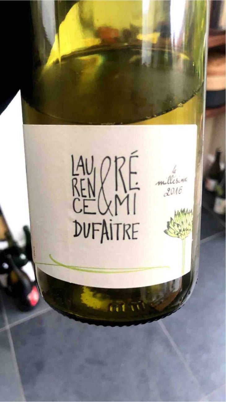 Julienas - Domaine de Botheland - Rémi Dufaitre & Laurence Liatard 