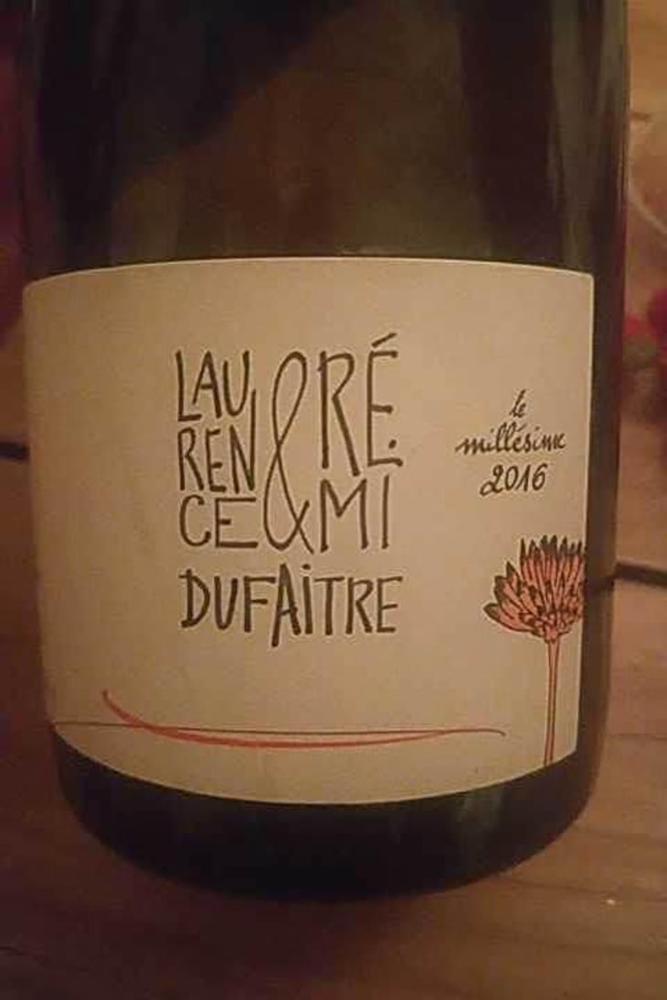 Julienas - Domaine de Botheland - Rémi Dufaitre & Laurence Liatard 