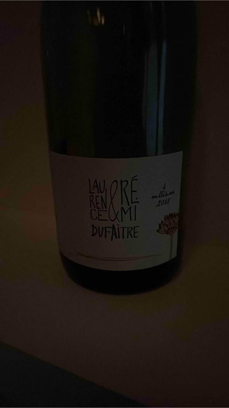 Julienas - Domaine de Botheland - Rémi Dufaitre & Laurence Liatard 
