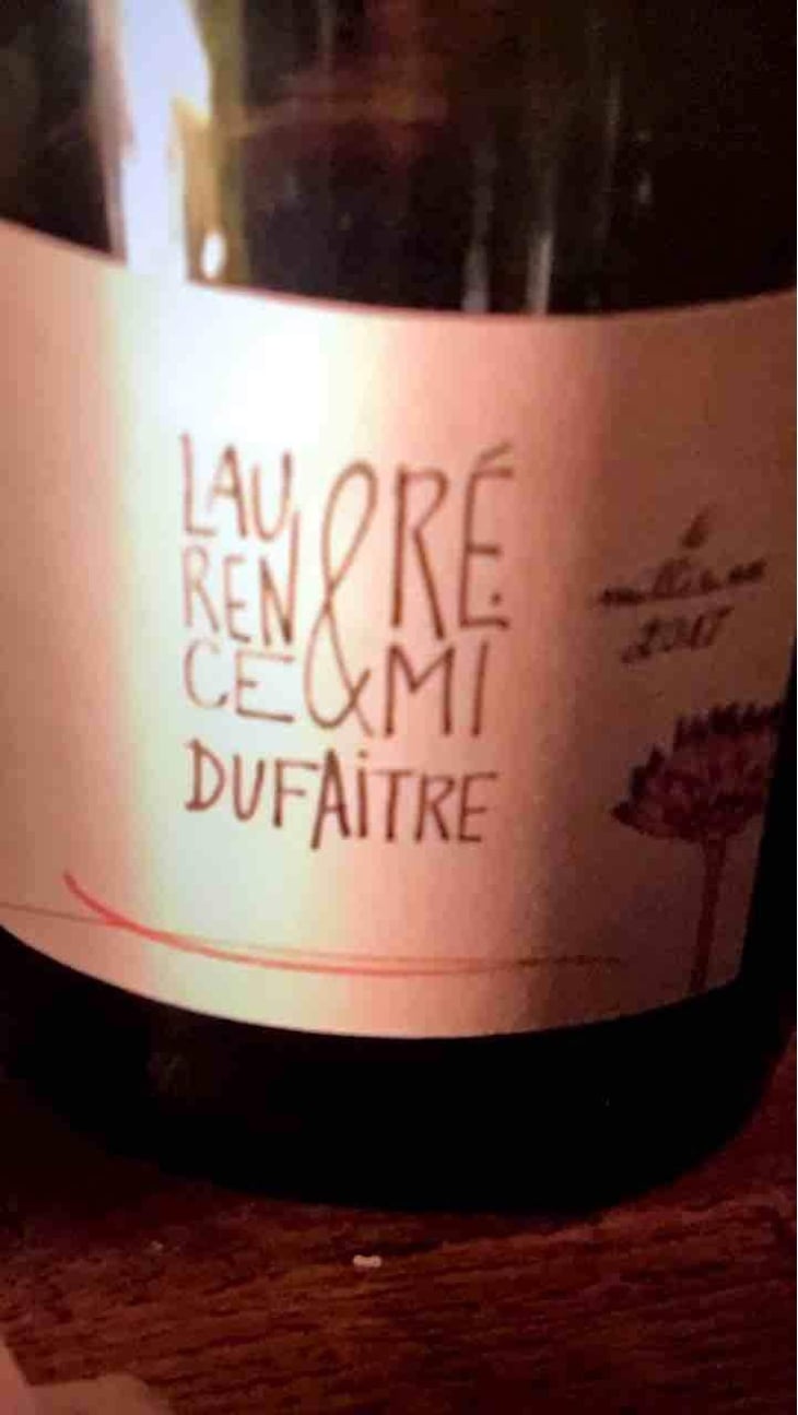 Julienas - Domaine de Botheland - Rémi Dufaitre & Laurence Liatard 