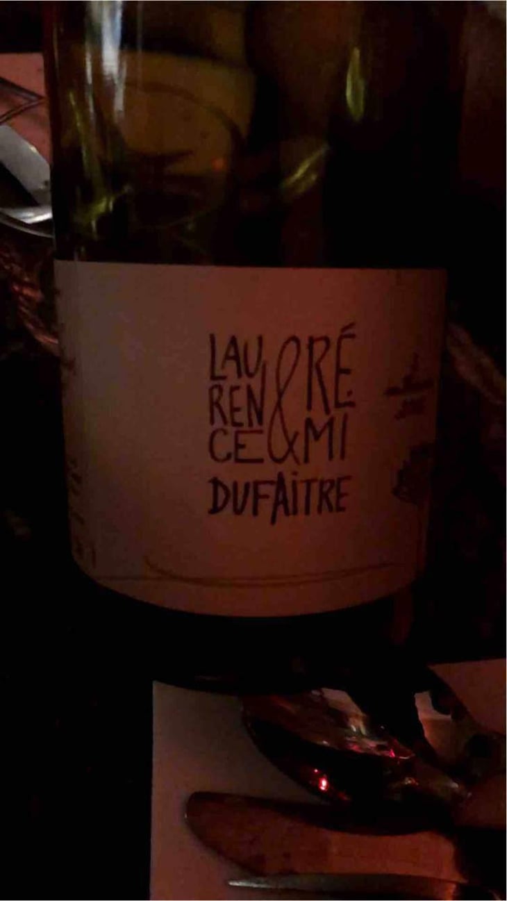 Julienas - Domaine de Botheland - Rémi Dufaitre & Laurence Liatard 