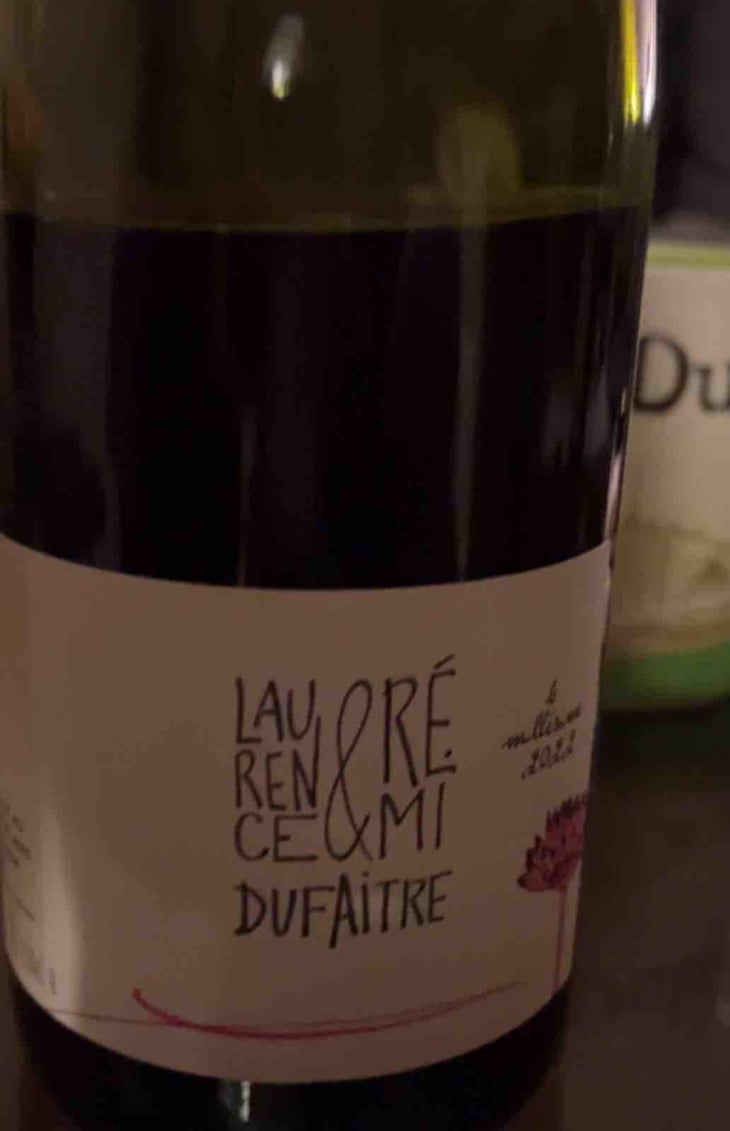 Julienas - Domaine de Botheland - Rémi Dufaitre & Laurence Liatard 