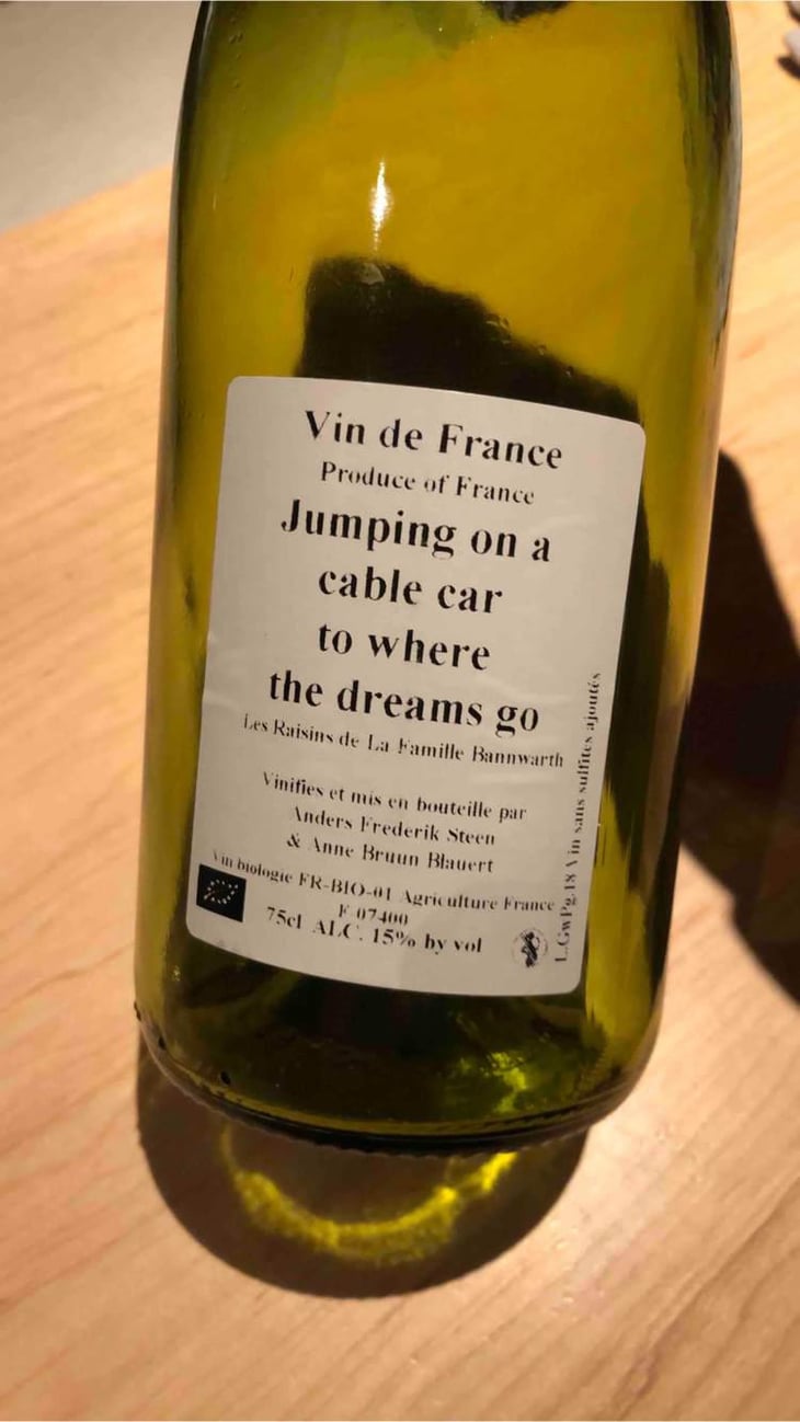 Jumping on a cable car to where the dreams go (X Laurent Bannwarth) - Anders Frederik Steen & Anne Bruun Blauert - Anders Frederik Steen & Anne Bruun Blauert 