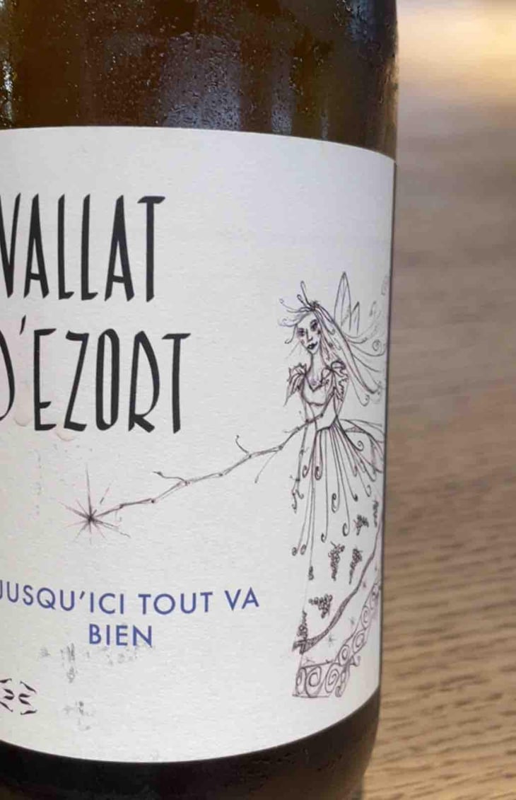 Jusqu’ici Tout Va Bien - Vallat d'Ezort - Manuela & Frédéric Martin -2020