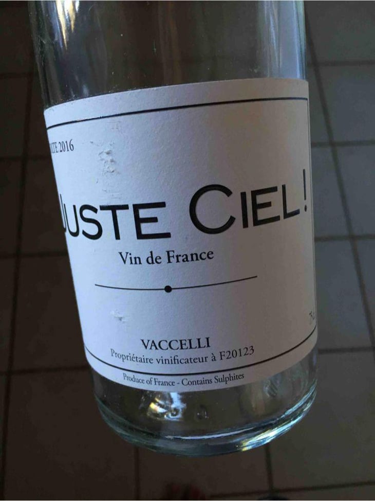 Juste Ciel! - La Petite Baigneuse - Philippe Wies 