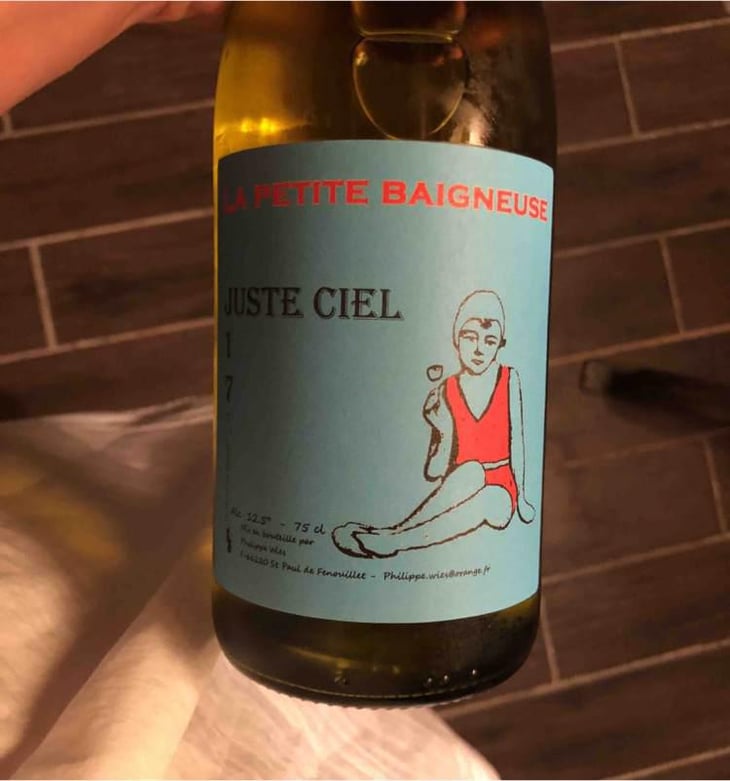 Juste Ciel! - La Petite Baigneuse - Philippe Wies 