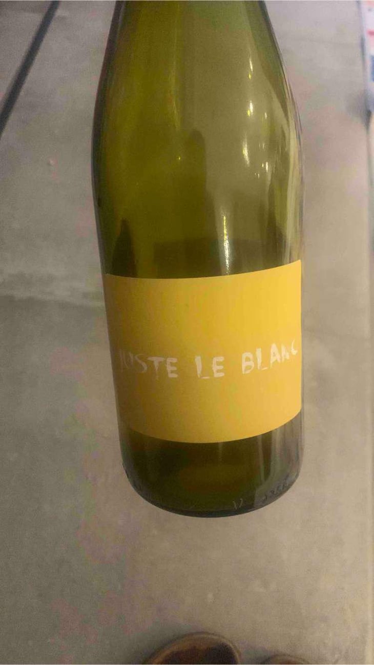 Juste le Blanc - Domaine Du Bois Rond - Mélanie Dedron Et Igor Denat 