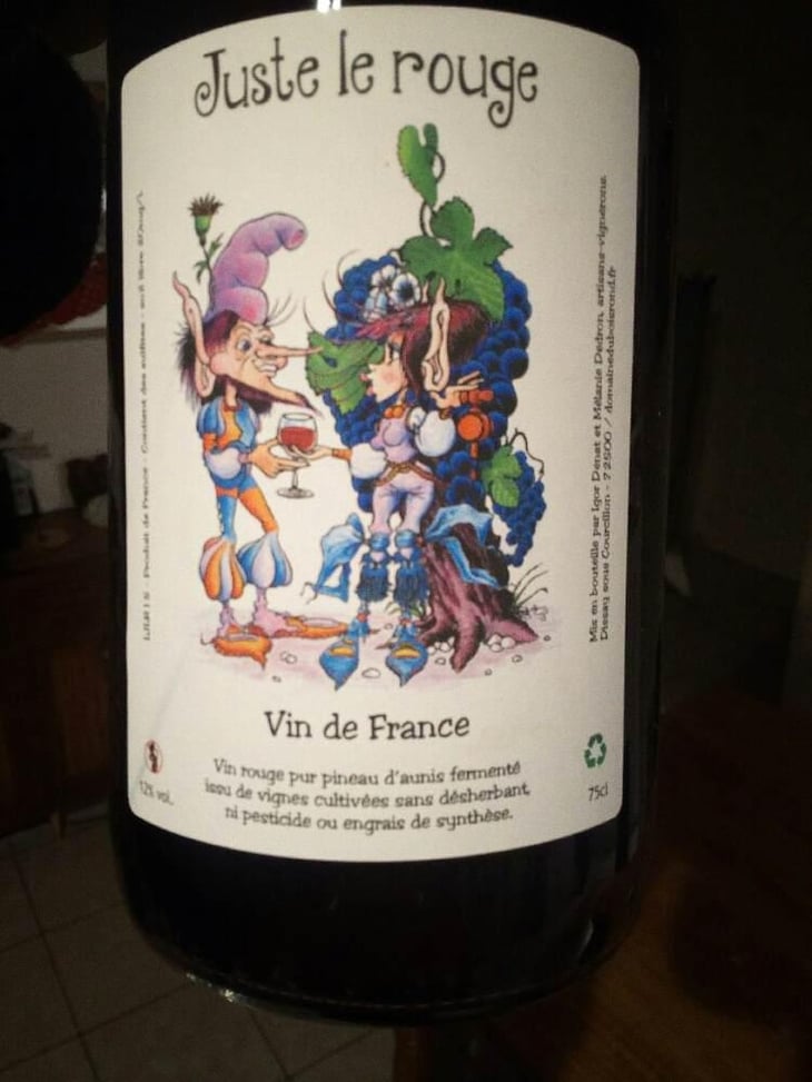 Juste le Rouge - Domaine Du Bois Rond - Mélanie Dedron Et Igor Denat 