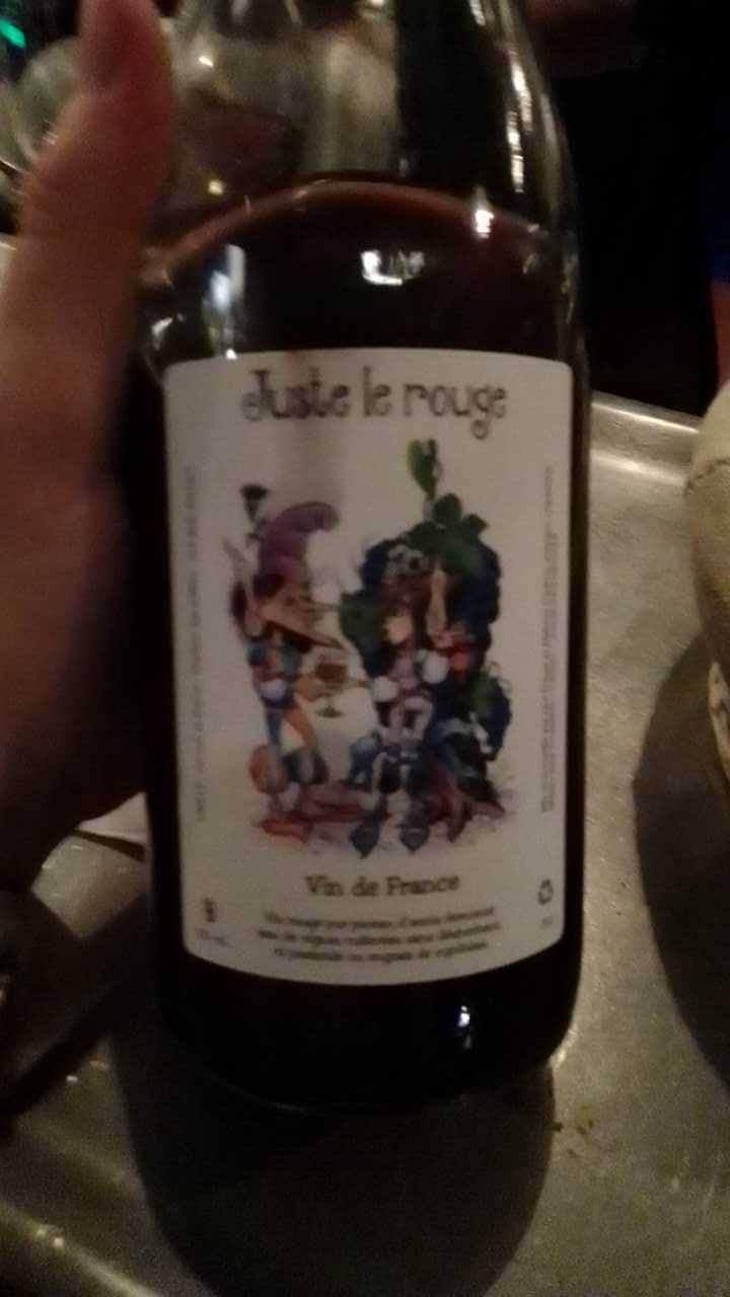 Juste le Rouge - Domaine Du Bois Rond - Mélanie Dedron Et Igor Denat 