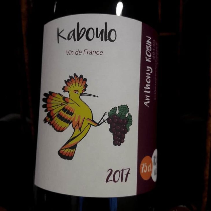 Kaboulo - Domaine du Clos Fremur - Anthony Robin 