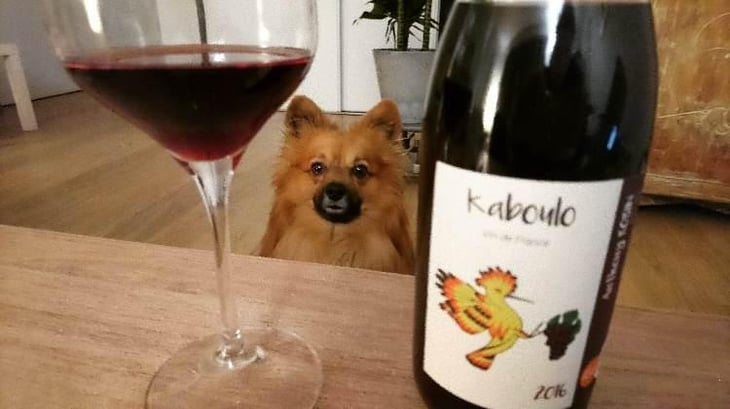 Kaboulo - Domaine du Clos Fremur - Anthony Robin 