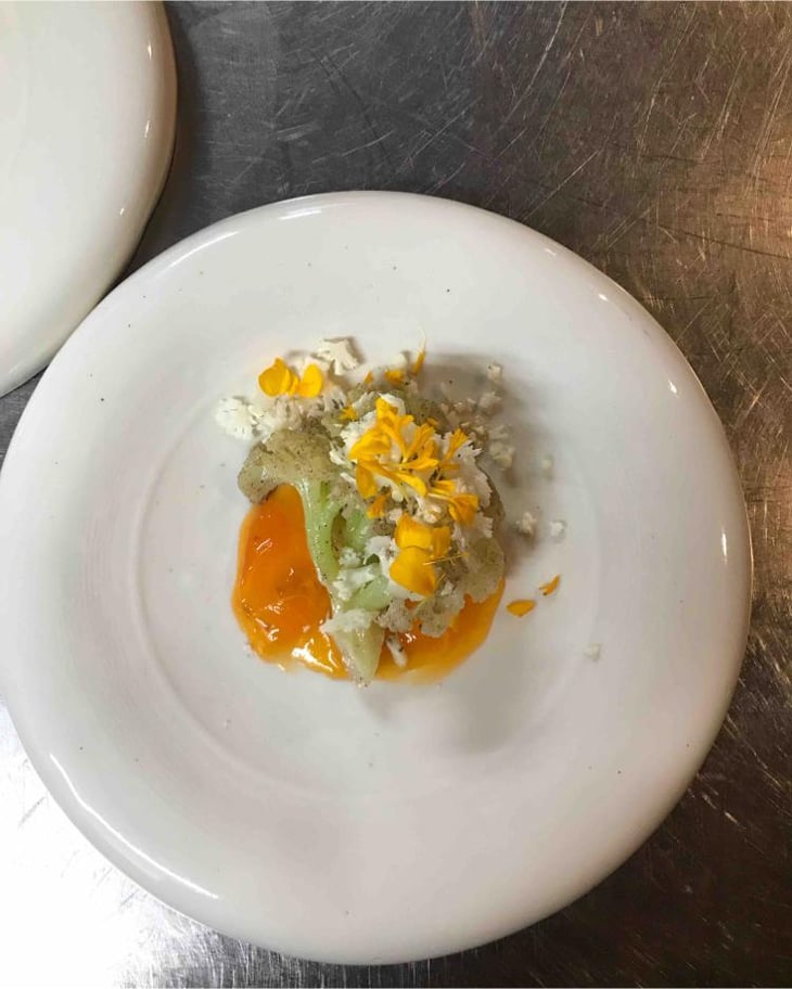 Kaki Choux-Fleurs - Artemisia Le Bistrot - 723766