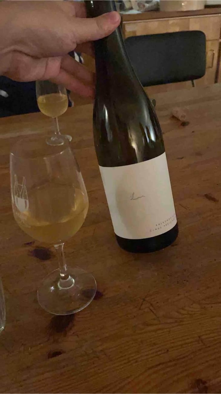 Kalkundkiesel Weiss - Weingut Claus Preisinger - Claus Preisinger 