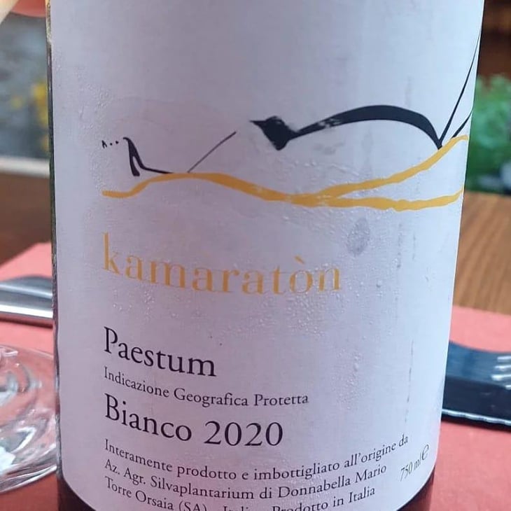 kamaraton - Silva Plantarium - Mario Donnabella -2017