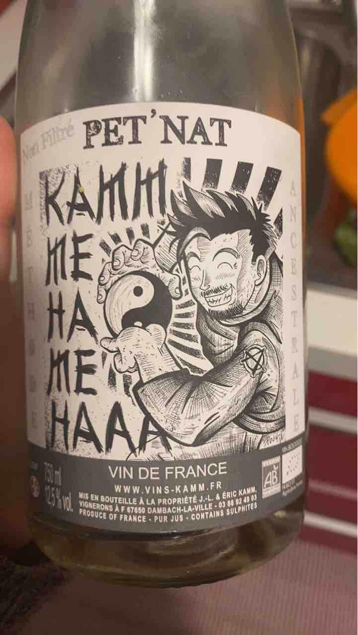 Kamm Me Ha Me Haaa - Jean-Louis & Éric Kamm - Éric Kamm 