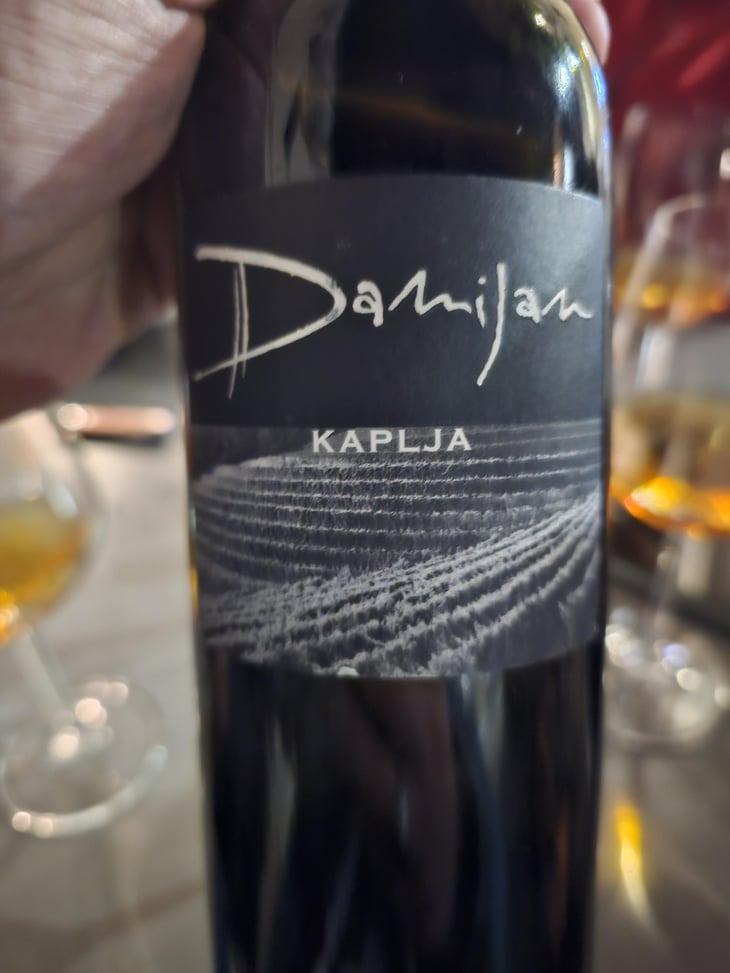 Kaplja - Damijan Podversic - Damijan Podversic 