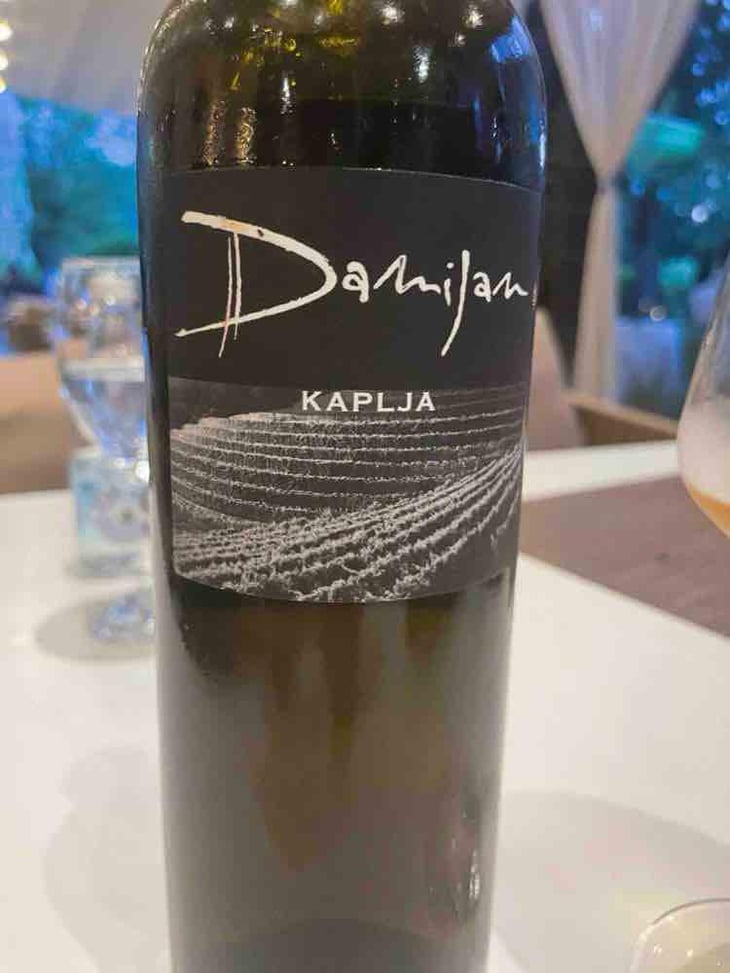 Kaplja - Damijan Podversic - Damijan Podversic 