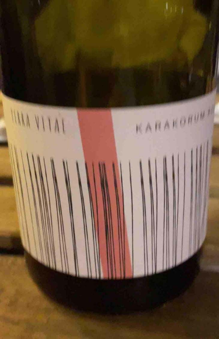 KARAKORUM - Terra Vitae - Elena Breghi e Matteo Pelanda 
