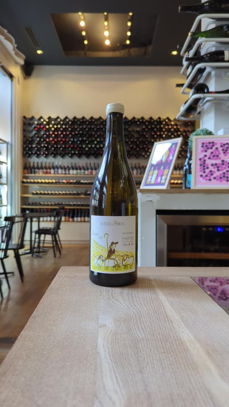 Kataphna - Domaine du Perron - La Vigne du Perron - François Grinand 