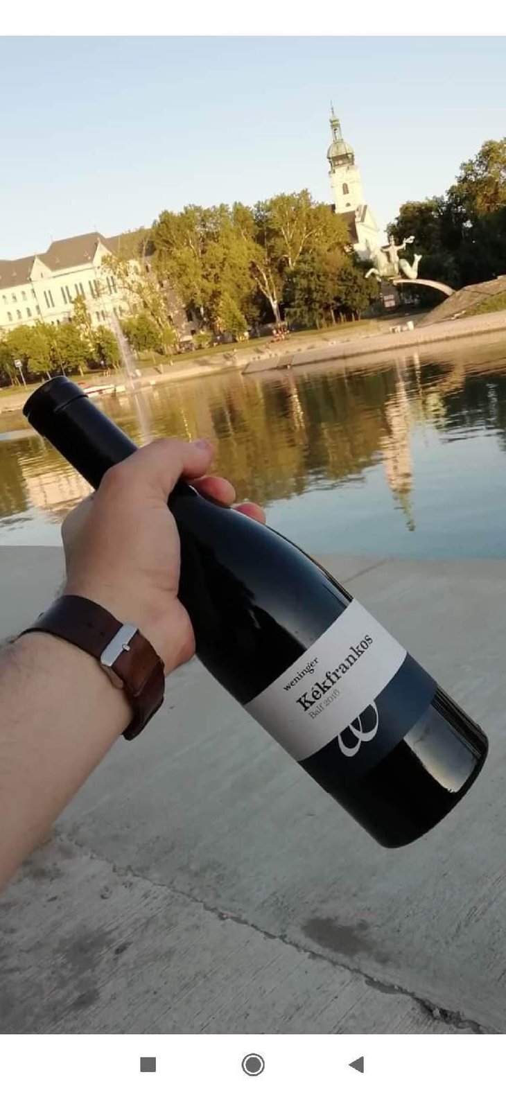 Kékfrankos Balf - Weingut Weninger (Austria) / Weninger Pincészet (Hungary) - Franz Weninger 