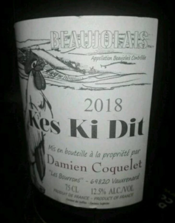 Kes Ki Dit - Damien Coquelet - Damien Coquelet 