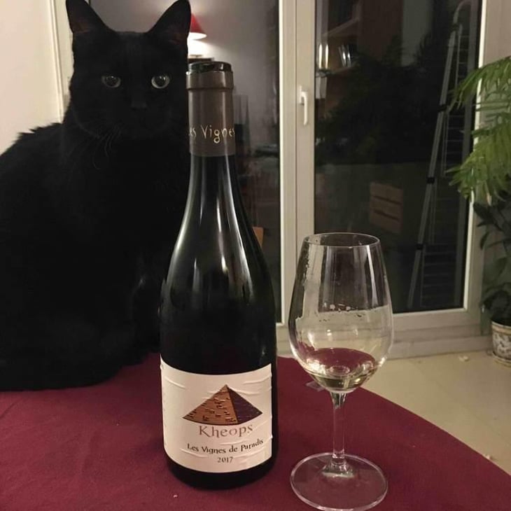 Kheops - Les Vignes de Paradis - Dominique Lucas 