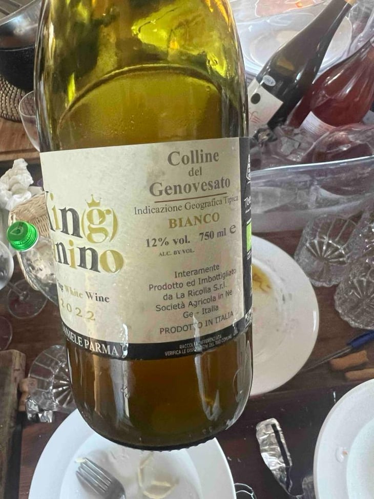 Kin(g)Tanino Fu**ing white wine - Azienda Agricola La Ricolla - Daniele Parma -2020