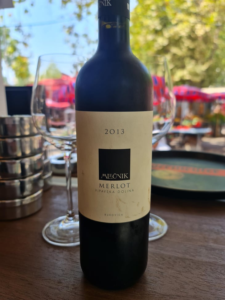 Merlot - Organic farm Mlečnik - Mlečnik Valter and Klemen 