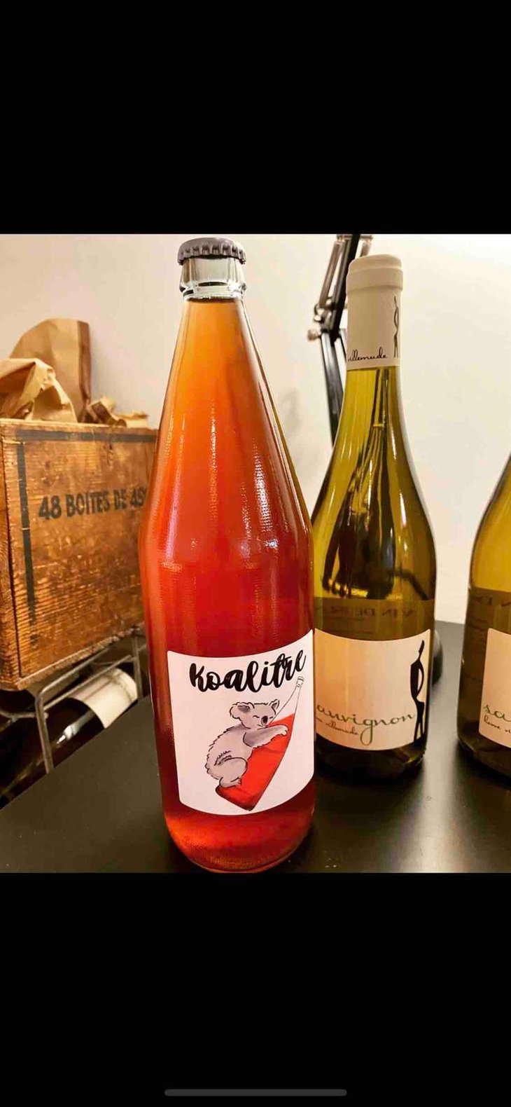 Koalitre - Domaine du Petit Oratoire - Lori Haon 