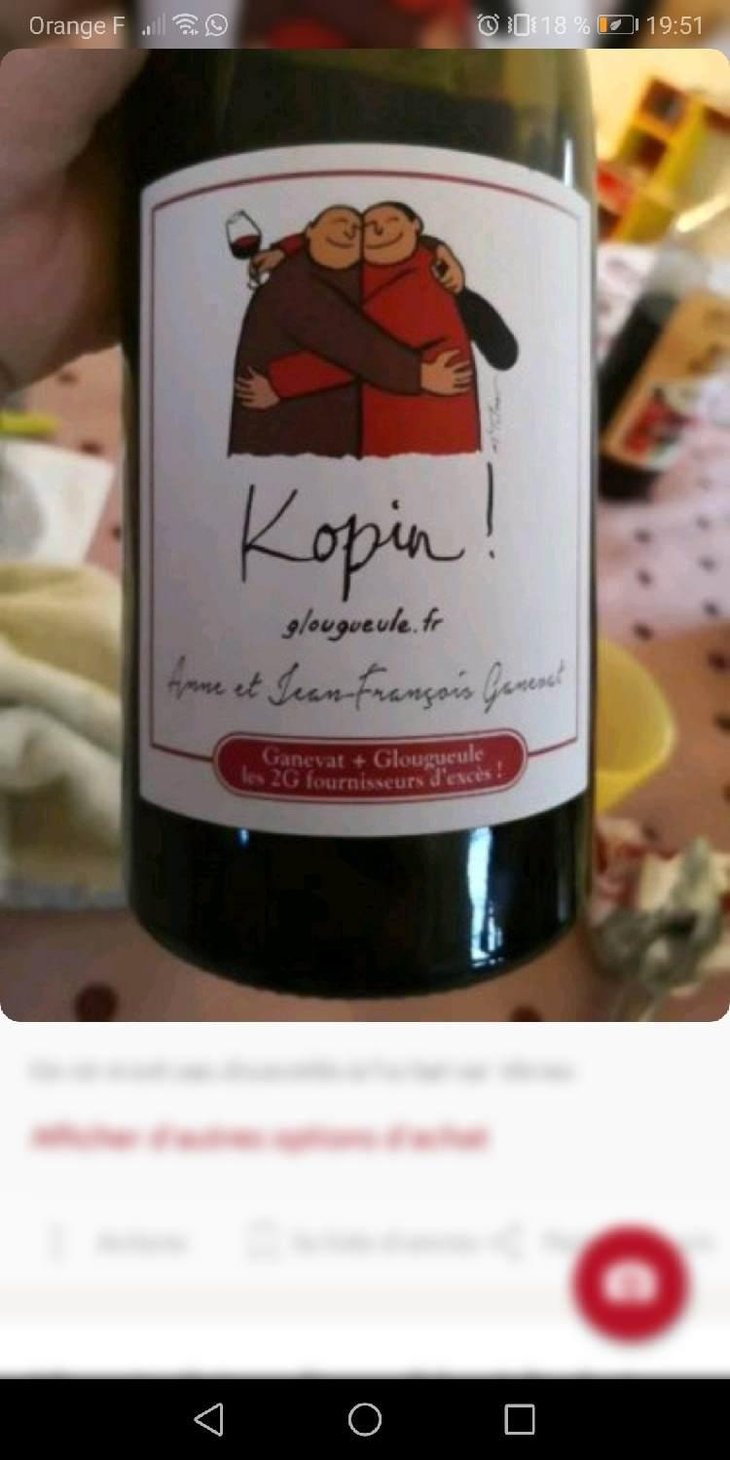 Kopin! (blanc) - Domaine Ganevat - Anne & Jean-François Ganevat 