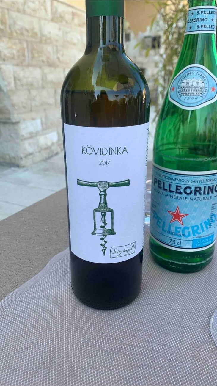 Kövidinka - Árpád Balog - Árpád Balog -2017