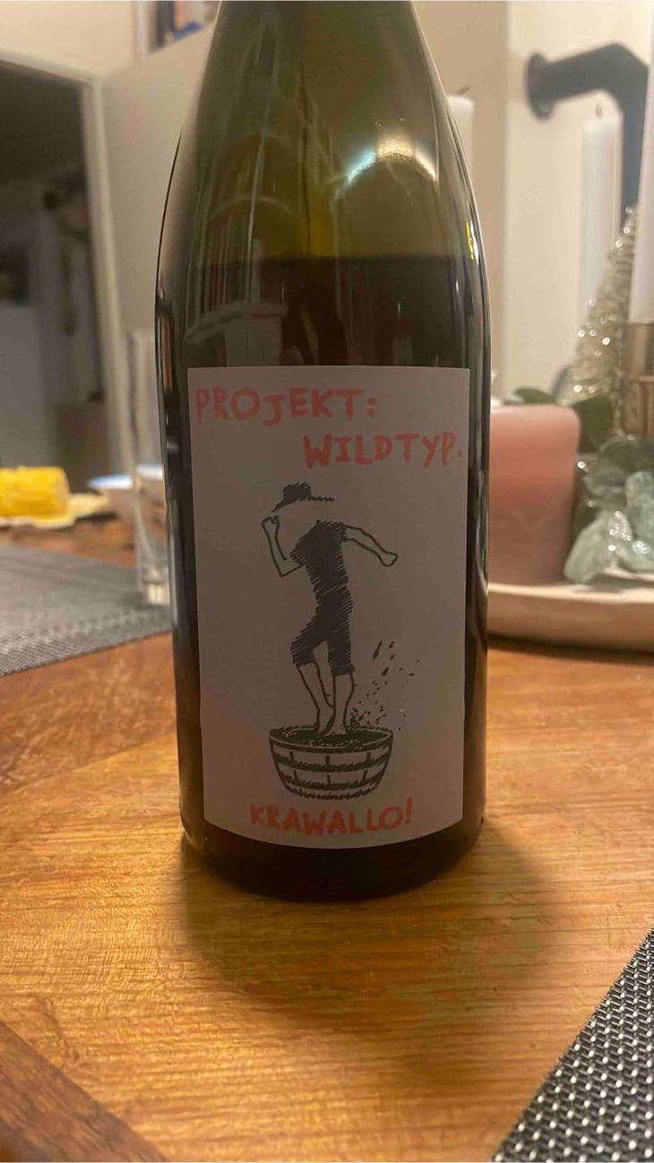 Krawallo! - Projekt: Wildtyp - Boris Kovacic 
