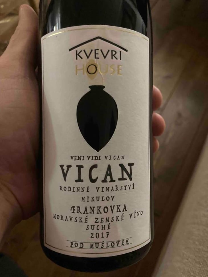 Kvevri House - Vican - Vican 