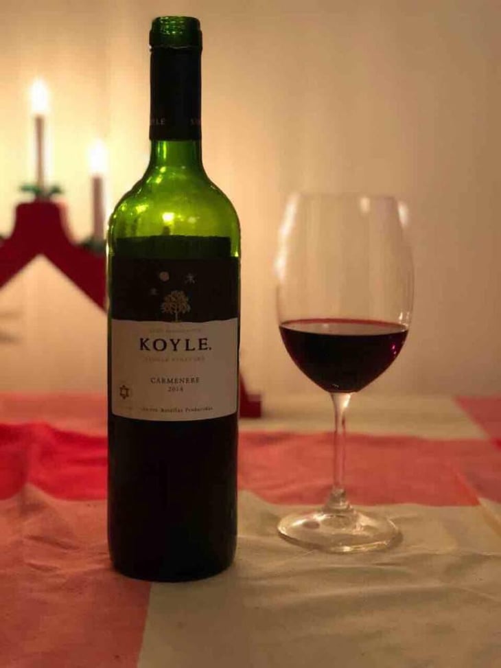 Koyle - Koyle - Cristobal Undurraga 