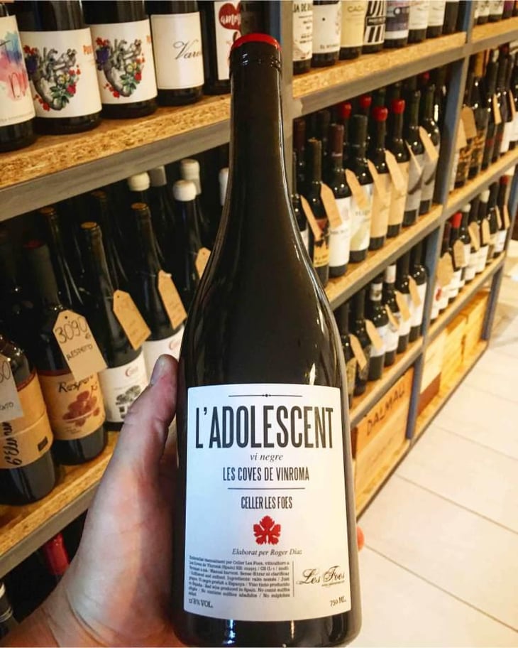 L'Adolescent - Celler Les Foes - Roger Díaz -2022