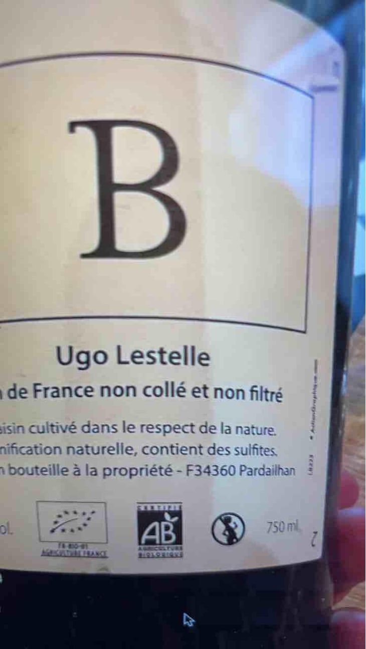 L - Ugo Lestelle - Ugo Lestelle 