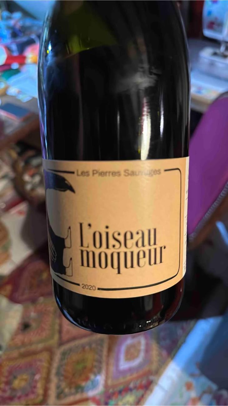 L’oiseau Moqueur - Les Pierres Sauvages - Emmanuelle Péron & Edern Le Brun -2021