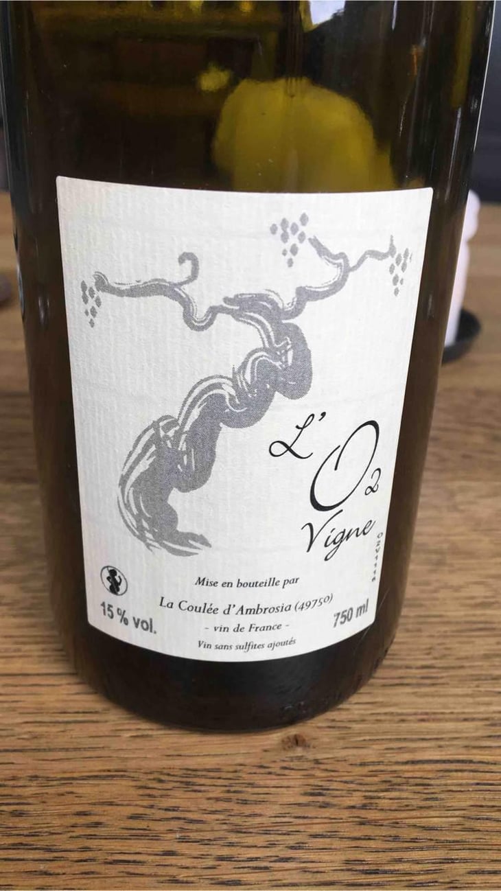 L’02 vigne - Loire - La Coulee 