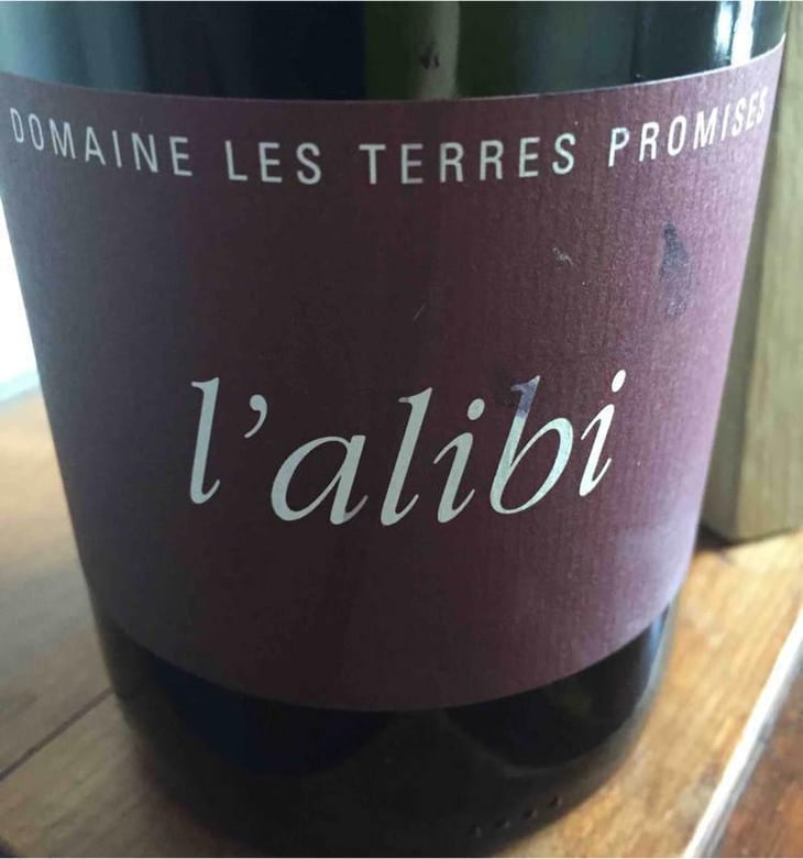 L’Alibi - Les Terres Promises - Jean-Christophe Comor 