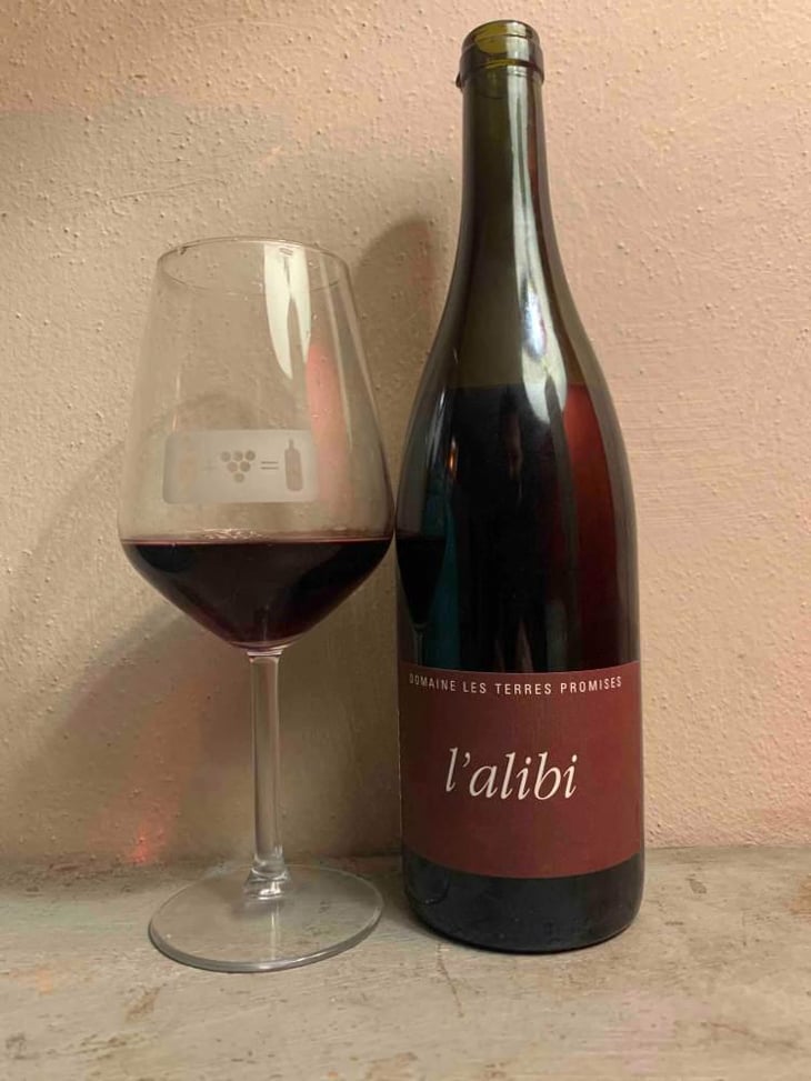 L’Alibi - Les Terres Promises - Jean-Christophe Comor 