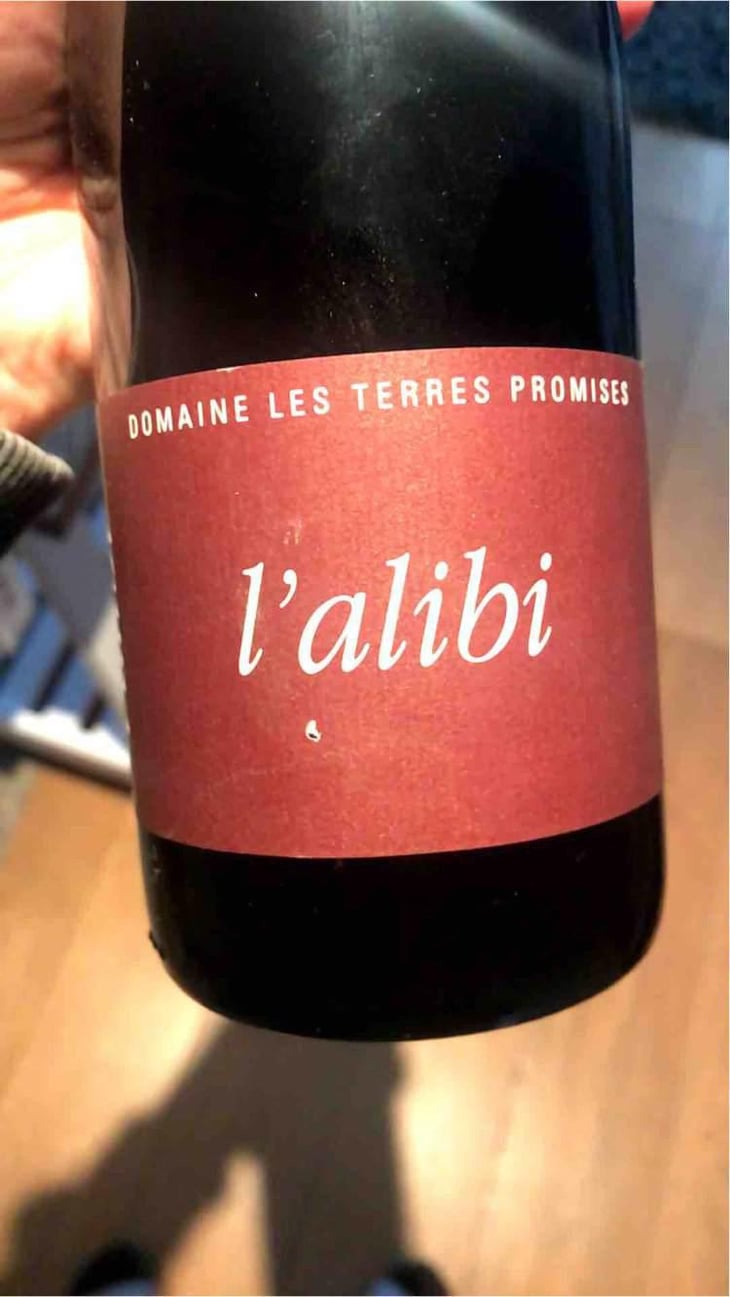 L’Alibi - Les Terres Promises - Jean-Christophe Comor 
