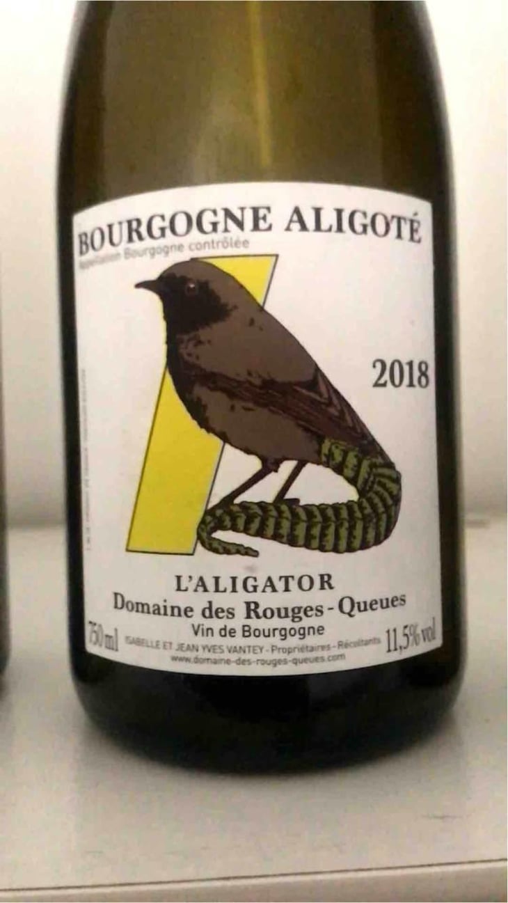 L’Aligator - Domaine des Rouges-Queues - Isabelle & Jean-Yves Vantey 