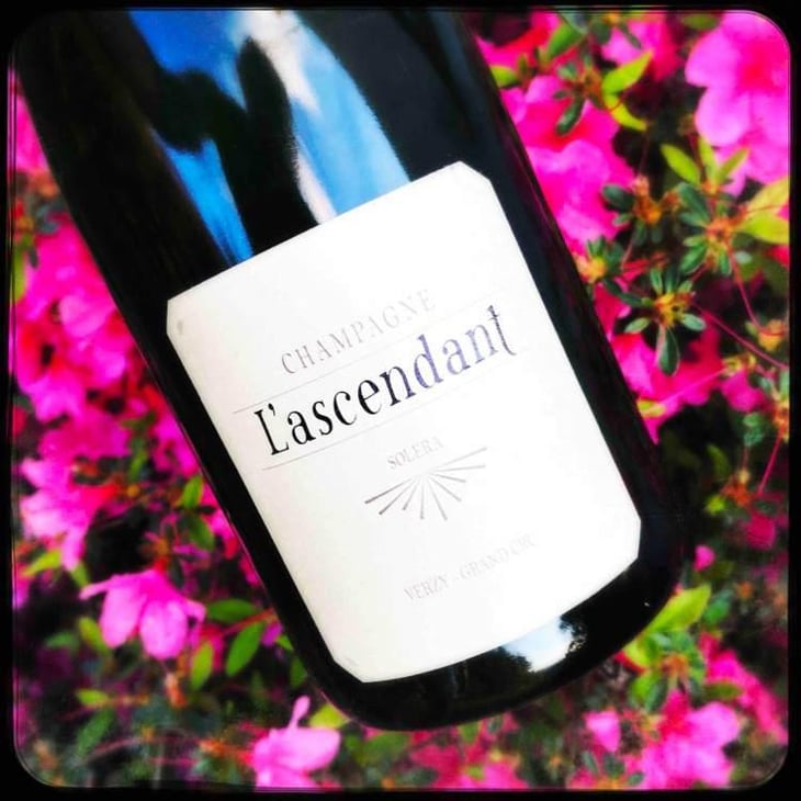 L'Ascendant (Extra-Brut) - Champagne Mouzon Leroux - Sébastien Mouzon 