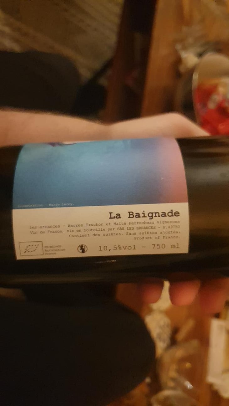 La Baignade - Les Errances Warren & Maïté Perrocheau - Warren Truchon & Maïté Perrocheau -2023