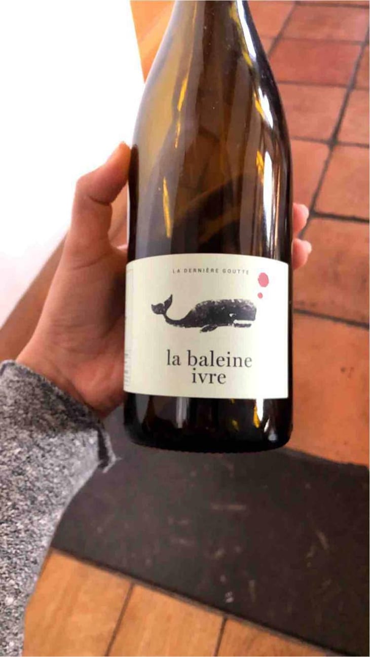 La Baleine Ivre - Dernière Goutte - Cyrille Vuillod 